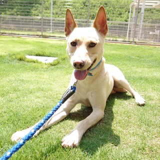 【助けてください】綺麗なお顔の女の子