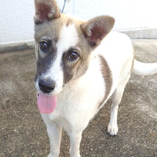 【助けてください】アクティブで可愛い男の子