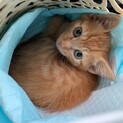 小さな僕にも家族が出来たよ‼️