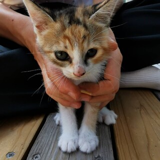 安心できる室内でいっぱいの愛を感じたい3姉妹