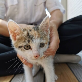 安心できる室内でいっぱいの愛を感じたい3姉妹