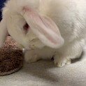 至急お願い致します‼️