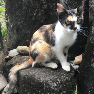 どうか家族にしてください♪