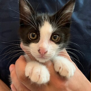 正式譲渡となりました