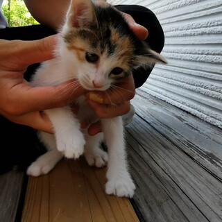 安心できる室内でいっぱいの愛を感じたい3姉妹