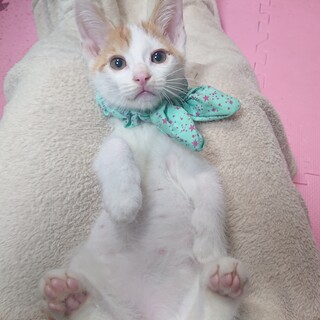 ちびっ子ギャング1号メンディーとお幸せに♡