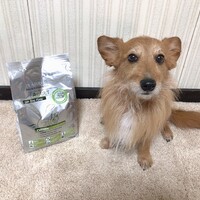 ピノ