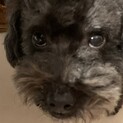 ありがとうございました