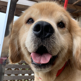 ☆家族が決まりました！！☆