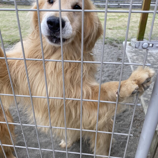 ☆家族が決まりました‼️☆