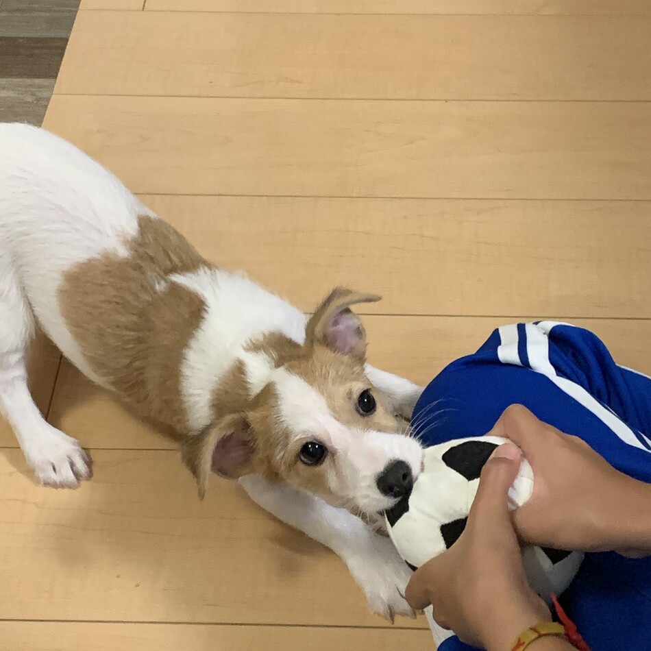 アクアのカバー写真