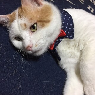 ポーくん♡大人しく人馴れ◎甘えん坊