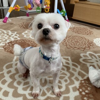 マルくんです★