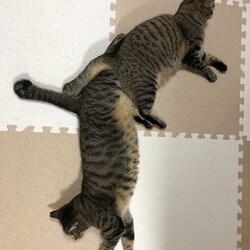 暑かったり、寒かったり