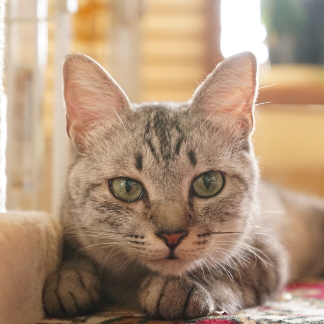 ばんちゃん64のカバー写真