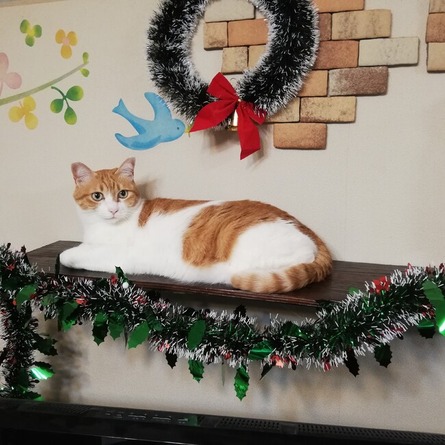 rainnumberのカバー写真