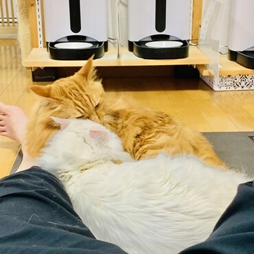 お母ちゃんとまったりタイム