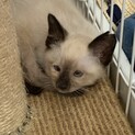 正式譲渡となりました