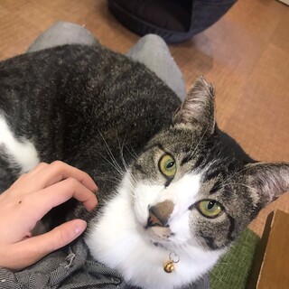 甘えん坊のしょうへいくん