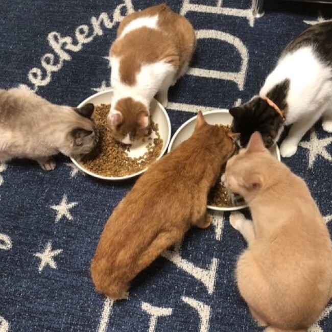 Reraのカバー写真
