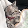 もち3