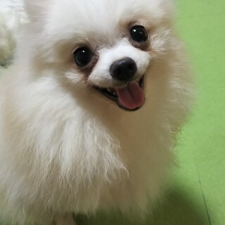 素敵なご縁を頂きました☺️