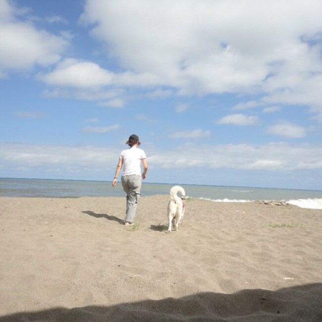 Ash-Loveのカバー写真