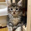 元気でお転婆なめるちゃん❤️