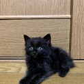 ぽけーとした雰囲気の絃くん❤️