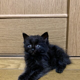 ぽけーとした雰囲気の絃くん❤️