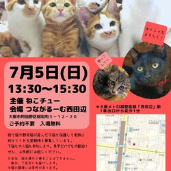 ねこチュー　猫の譲渡会
