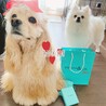 ちょってぃママ
