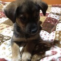 募集をストップします。。