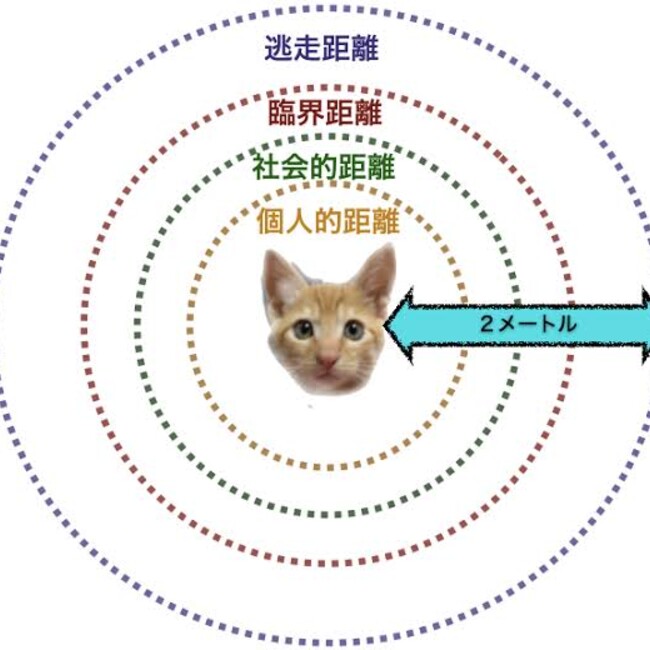 a72kiのカバー写真