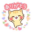 再度募集 ブリテッシュ    子猫