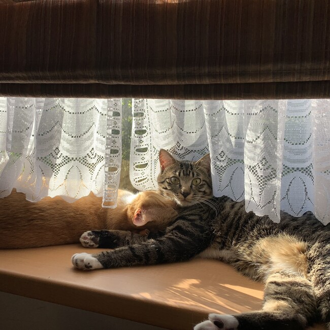 みさめぐのカバー写真