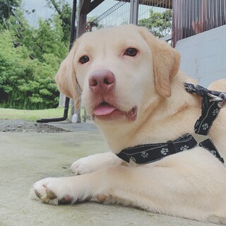 ☆家族が決まりました‼️☆