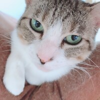 きみこ