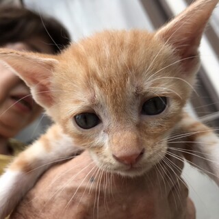 ずっとそばに居て甘えさせてください３