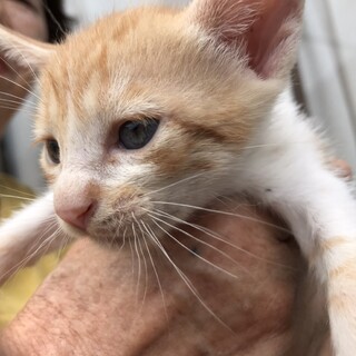 ずっとそばに居て甘えさせてください４