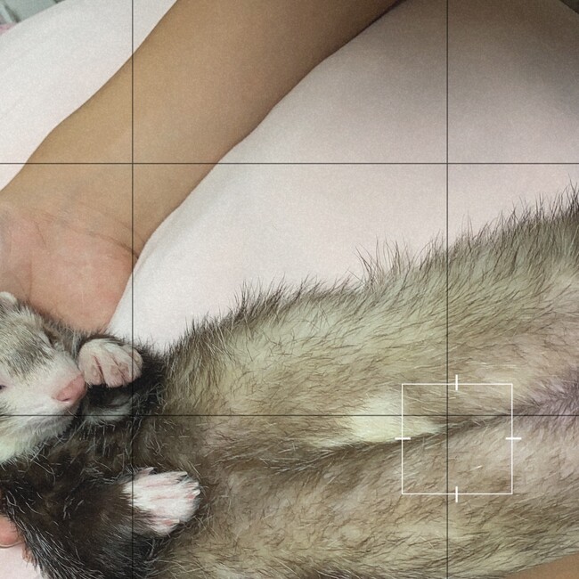 斗羅のカバー写真