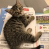 まりなん1022