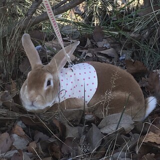 素敵なご家族様と出会えました❤︎