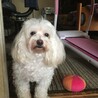 みゆっき。