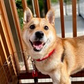 たくさん愛情を注いであげてね♪ひかりちゃん