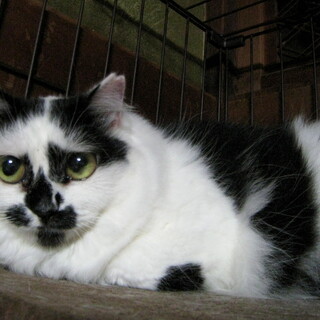 個性的な模様の女の子♪