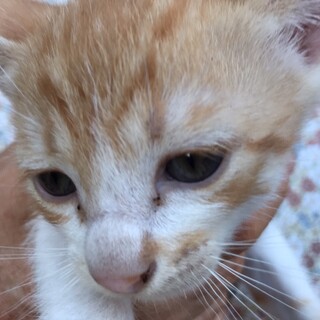 ずっとそばに居て甘えさせてください５