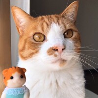 りん