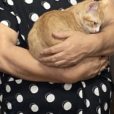 だっこ