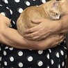だっこ